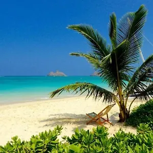 brand-new-kailua-beach.hotelsinhawaii.org/